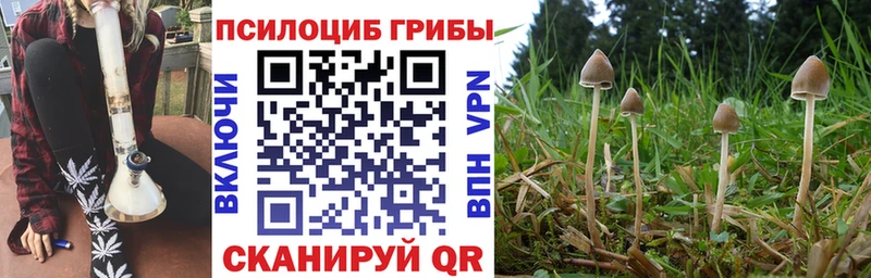 Галлюциногенные грибы Cubensis  сколько стоит  Одинцово 