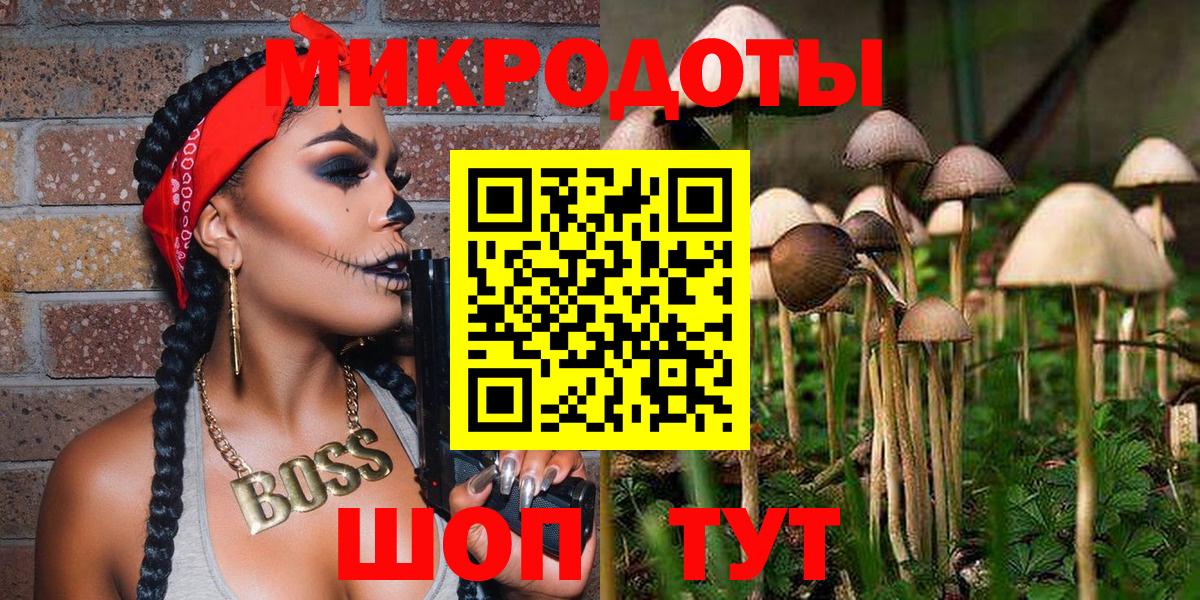 Галлюциногенные грибы Psilocybine cubensis  Вход с VPN  Одинцово 